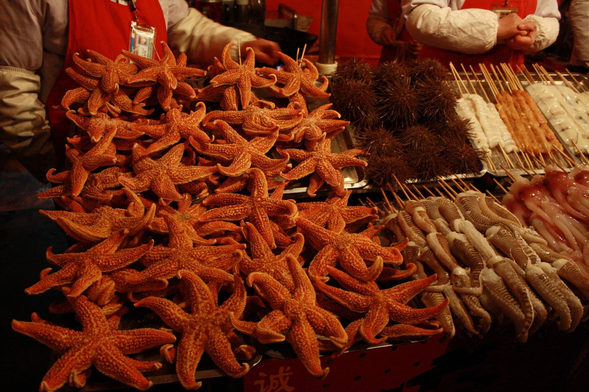 Seesterne in der Garküche Peking Seesterne in der Garküche Peking