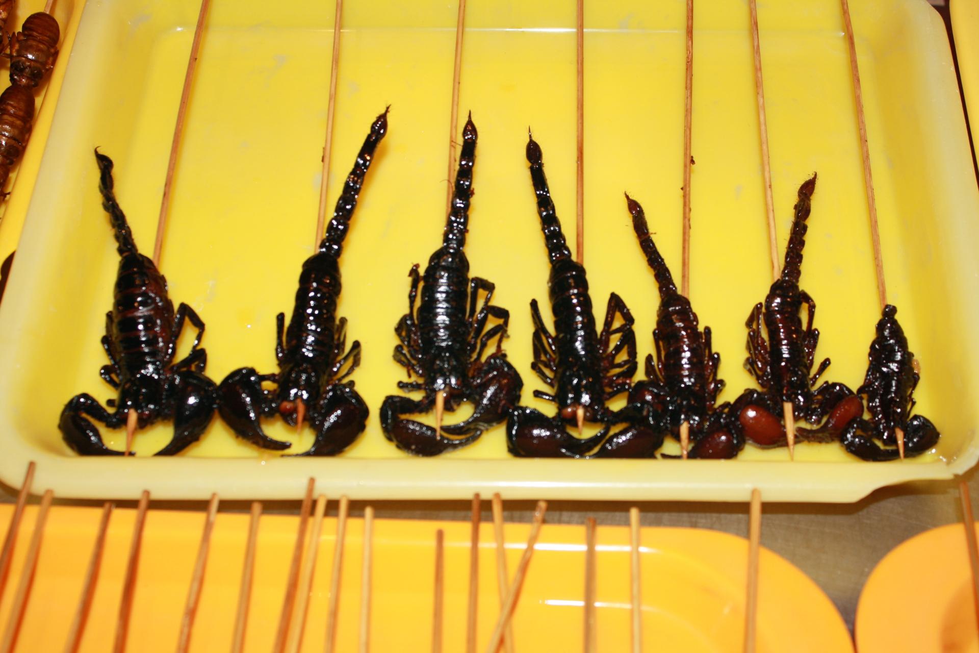 Skorpione 2 in der Garküche Peking