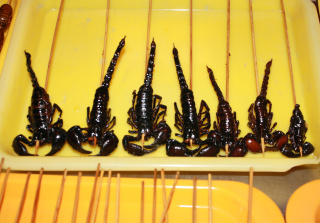 Skorpione 2 in der Garküche Peking