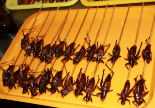 Unbekannte Insekten in der Garküche Peking