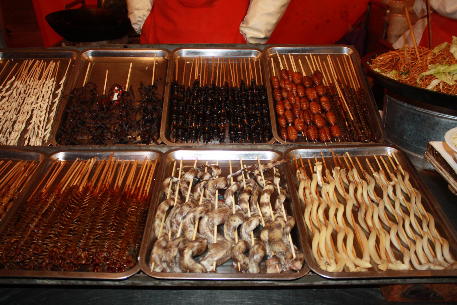 Insekten in der Garküche Peking Insekten & Co. in der Garküche Peking