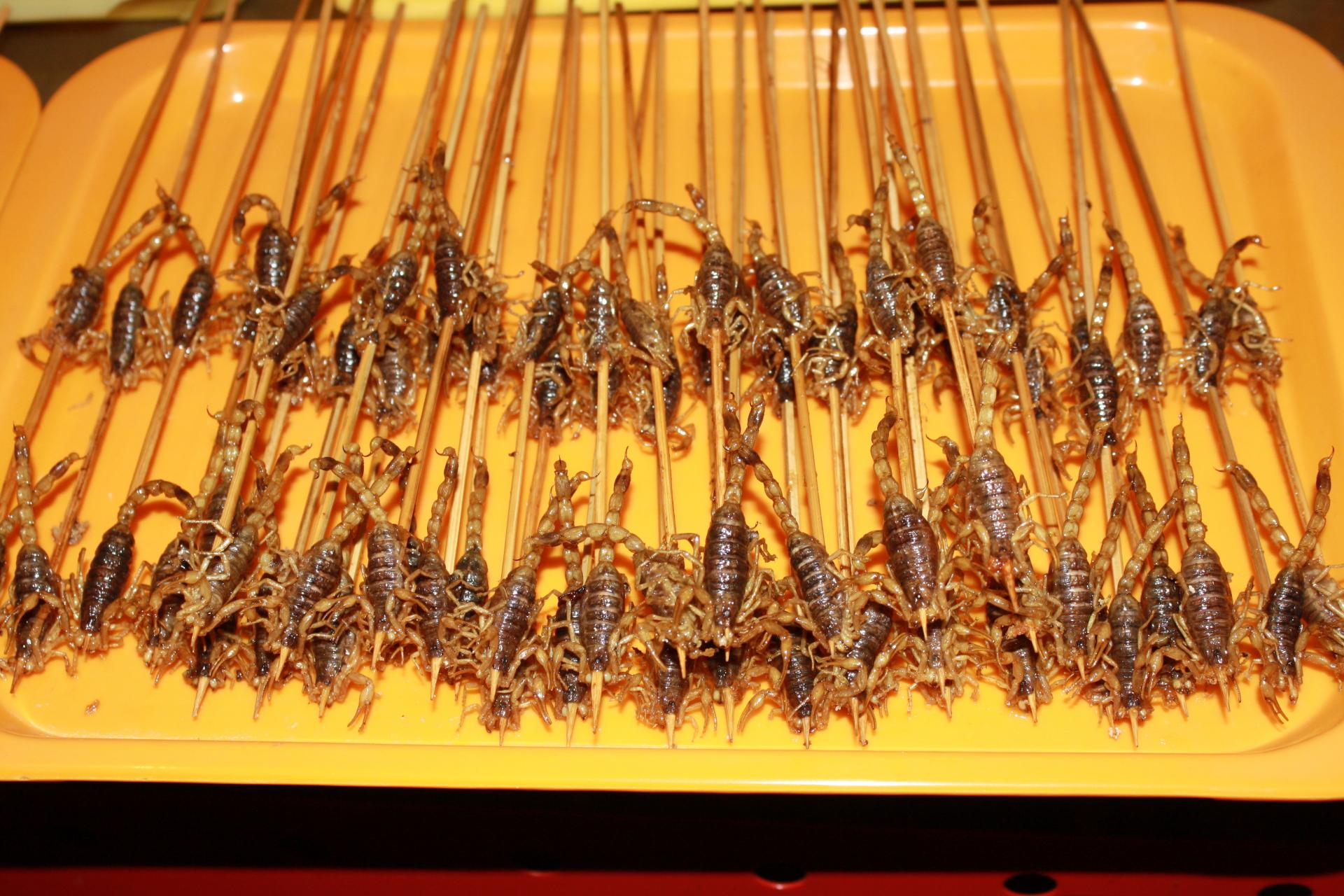 Skorpione in der Garküche Peking