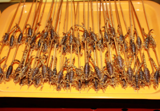 Skorpione in der Garküche Peking