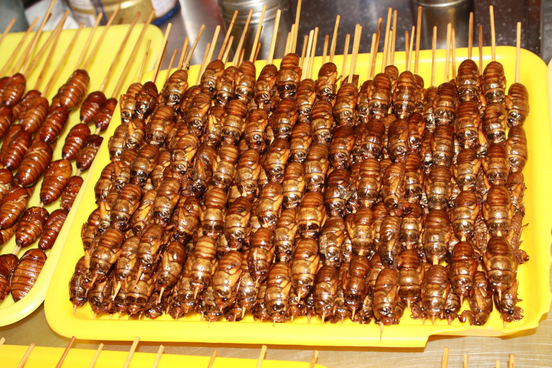 Käfer in der Garküche Peking
